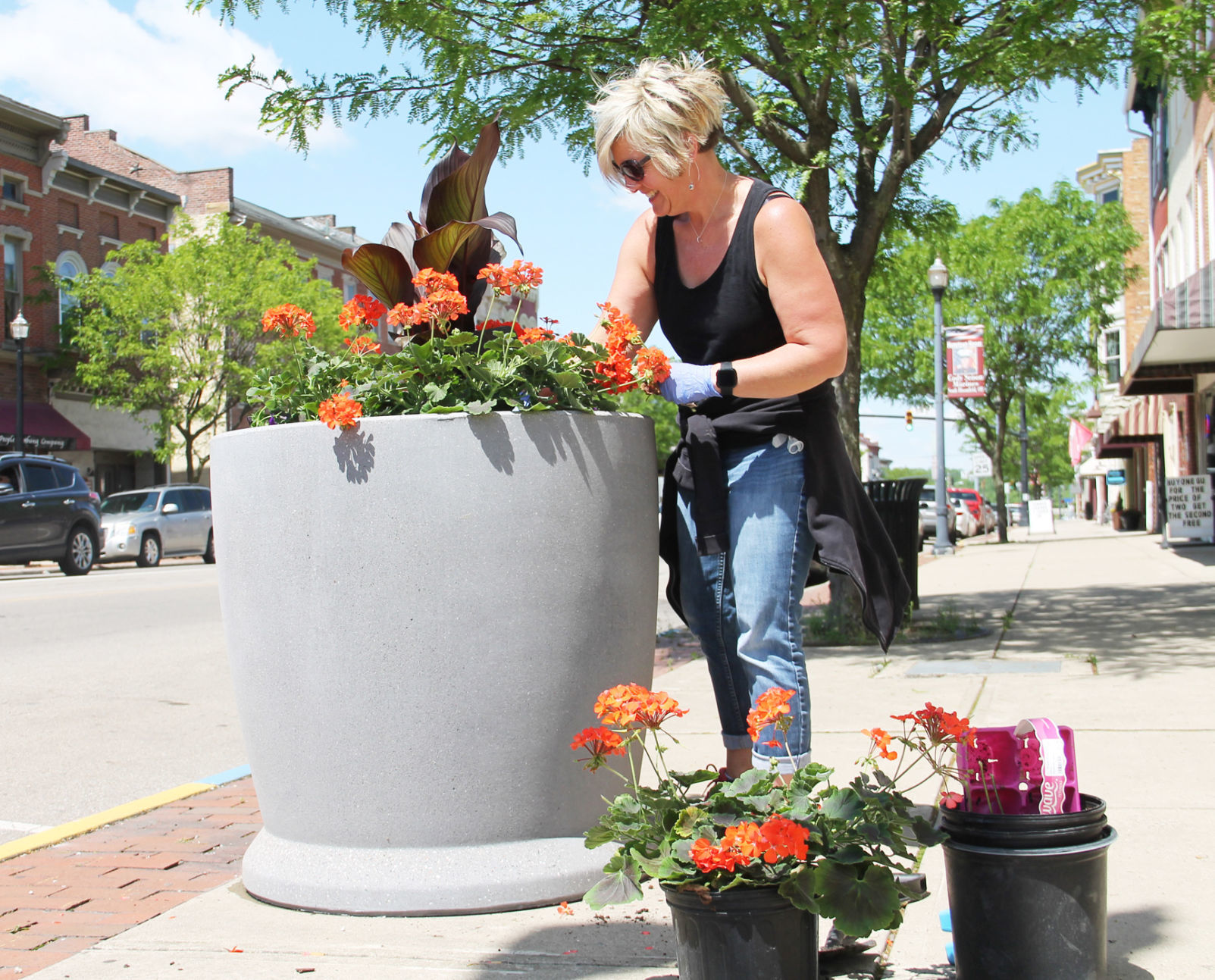 Downtown in bloom